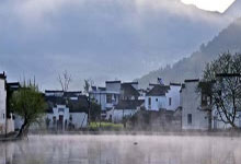 深圳茶艺师齐聚一堂，工作室论坛回顾茶艺魅力之旅